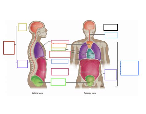 purposegames.com|purposegames anatomy.